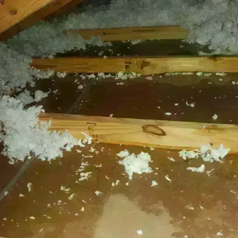 Attic Water Damage in Pepin County, WI