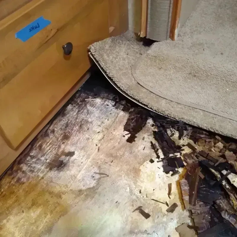 Best Wood Floor Water Damage Service in Pepin County, WI